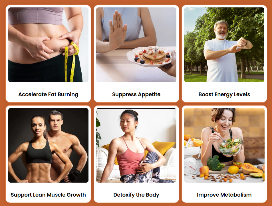 AlkaBurn benefits &mdash; fat burning, appetite suppression, energy, lean muscle support, detoxification and metabolism
